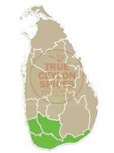 growing areas of cinnamon Sri Lanka