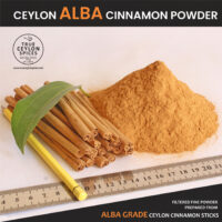Alba powder main