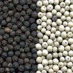 Black pepper and white pepper