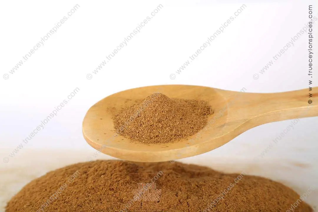 cinnamomum-zeylanicum-ground-5
