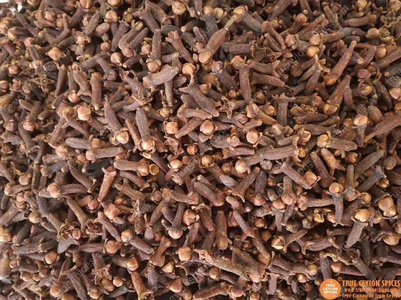 Certified Organic Whole Clove from Sri Lanka