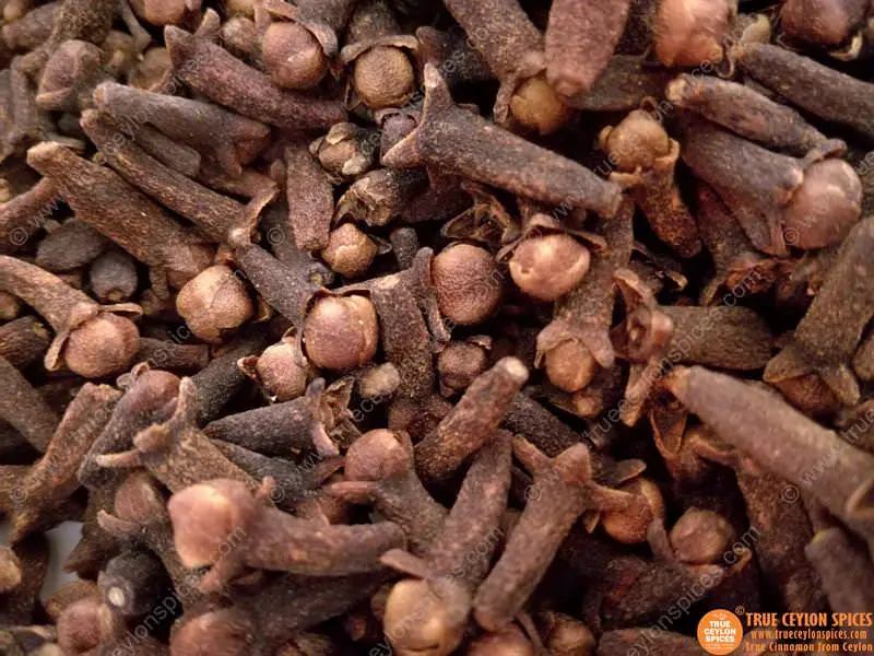Certified Organic Whole Clove from Sri Lanka - Image 5