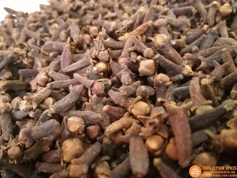Certified Organic Whole Clove from Sri Lanka - Image 3