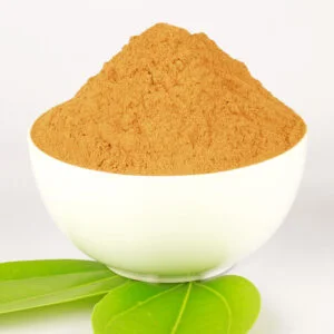 Ceylon cinnamon Powder
