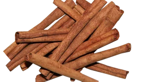 Cinnamomum_burmannii