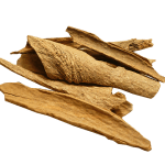 Vietnamese cassia (Cinnamomum loureiroi)