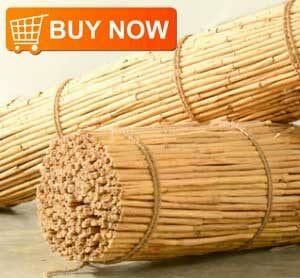 True Ceylon Cinnamon From Sri Lanka Tcs