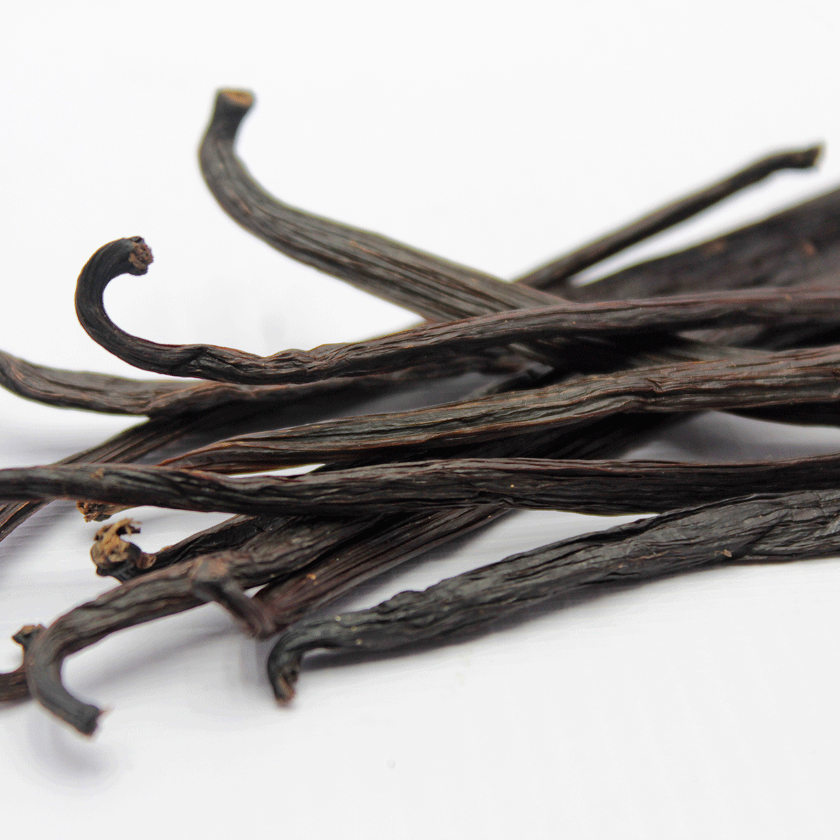 Certified Organic Cured Vanilla Beans from Sri Lanka - Image 5