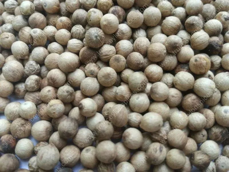 Certified Organic Sri Lankan White Pepper (Un-bleached Peppercorns) - Image 5