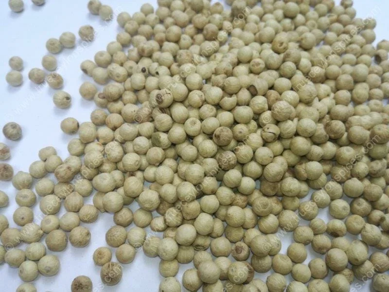 Certified Organic Sri Lankan White Pepper (Un-bleached Peppercorns) - Image 4