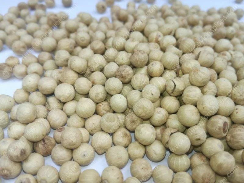 Certified Organic Sri Lankan White Pepper (Un-bleached Peppercorns) - Image 2